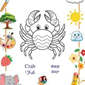 Sea Creatures